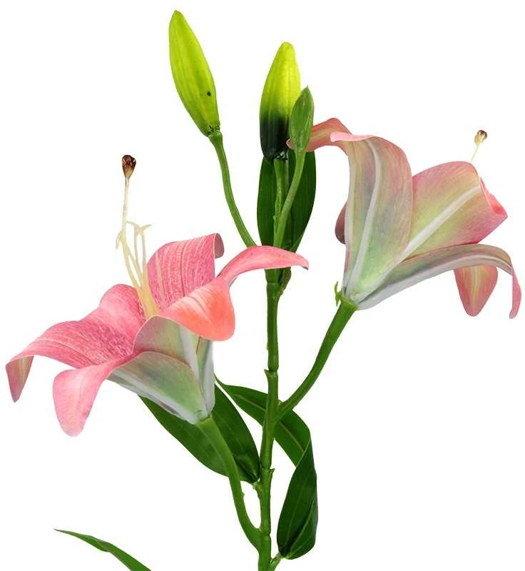 Dirbtinė rožinė lelijų šaka, 65 cm