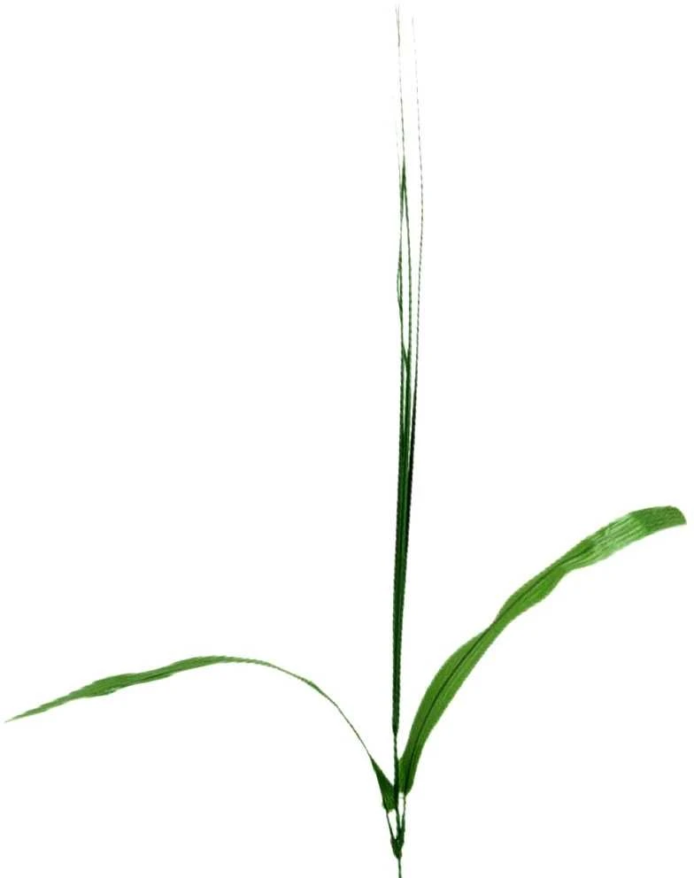 Dirbtinės gėlės kotelis su viksva, 44 cm