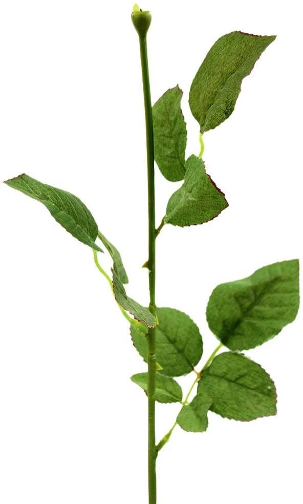 Dirbtinės rožės kotas su lapais, 60 cm