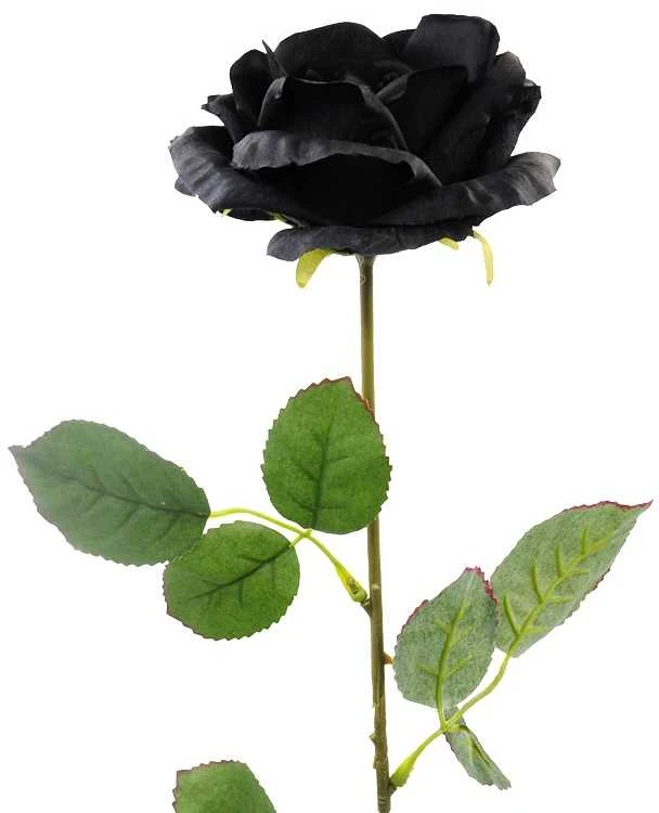 Dirbtinės rožės šaka, 70 cm - Juoda