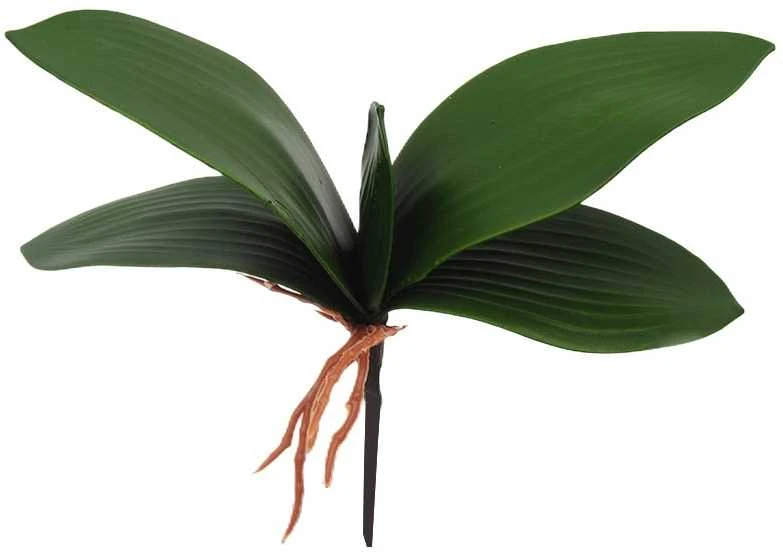 Dirbtiniai orchidėjos lapai, 25 cm