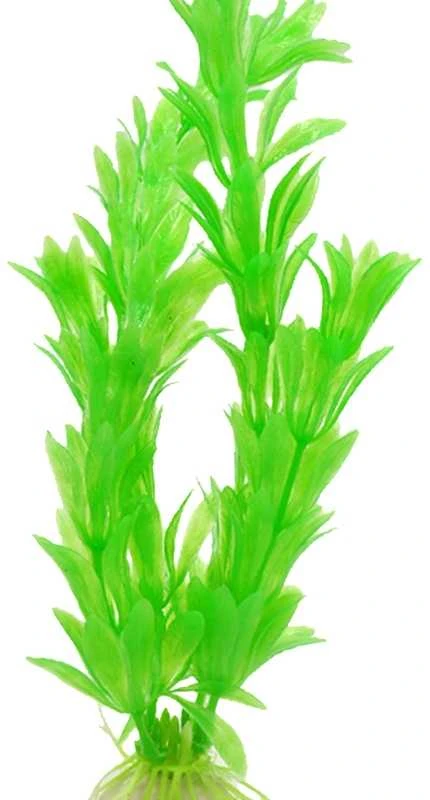 Dirbtinis akvariumo augalas