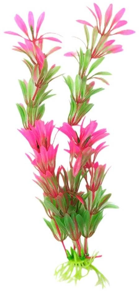 Dirbtinis akvariumo augalas