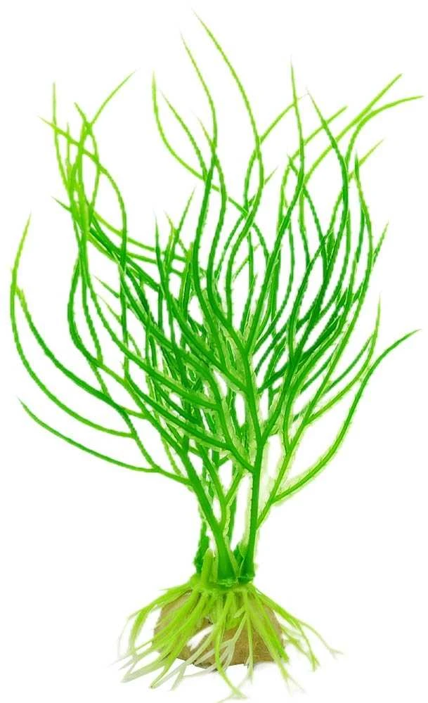 Dirbtinis akvariumo augalas