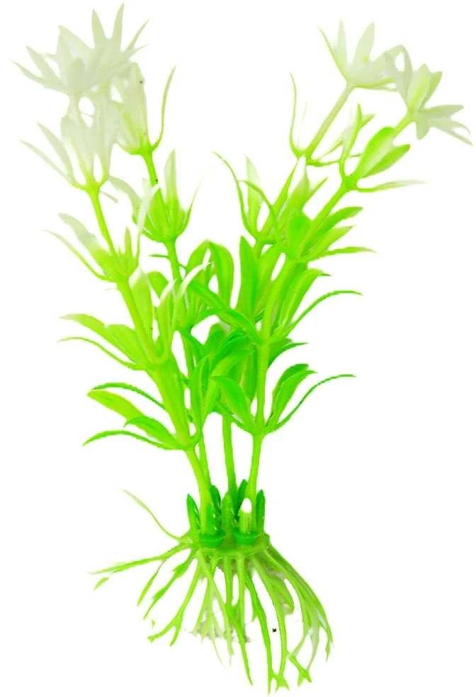 Dirbtinis akvariumo augalas