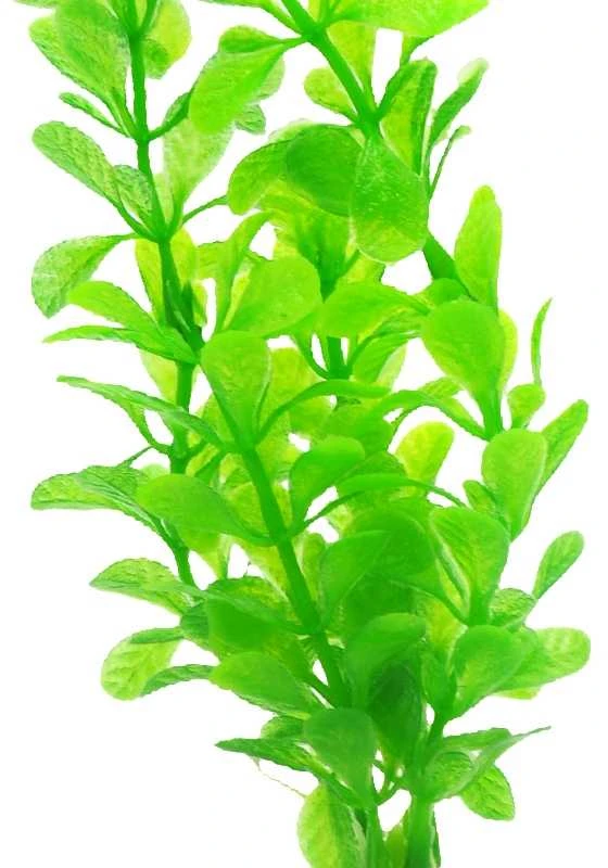 Dirbtinis akvariumo augalas