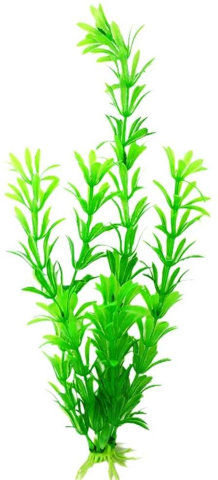 Dirbtinis akvariumo augalas