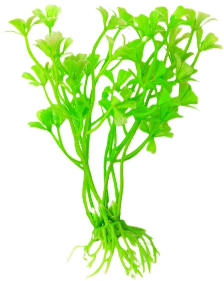 Dirbtinis akvariumo augalas