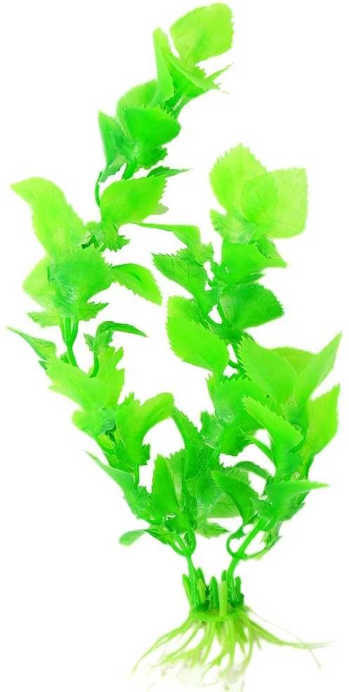 Dirbtinis akvariumo augalas