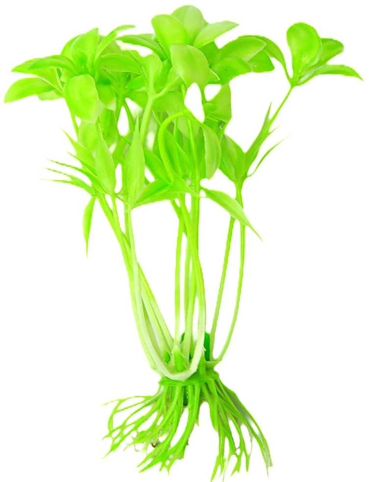 Dirbtinis akvariumo augalas