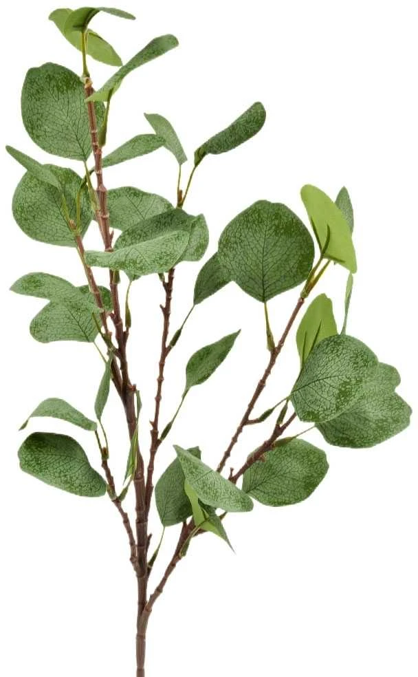 Dirbtinis eukalipto šaka su lapais, 62 cm