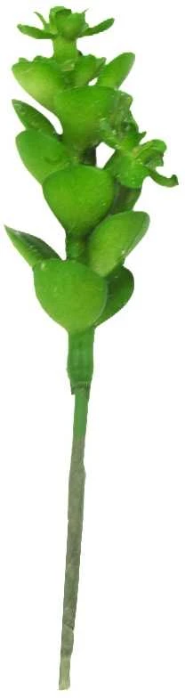 Dirbtinis sukulentas