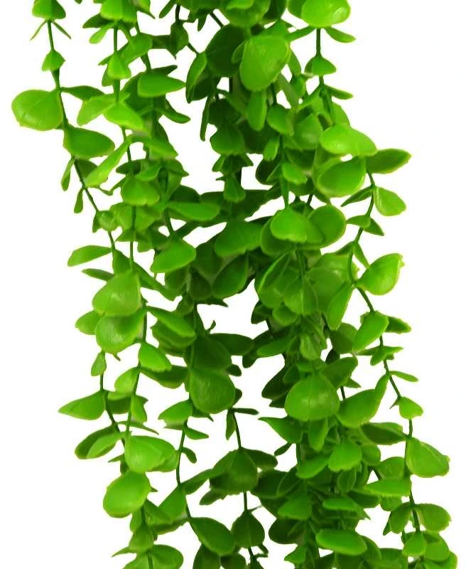 Dirbtinis vijoklis Buksmedis, 120 cm