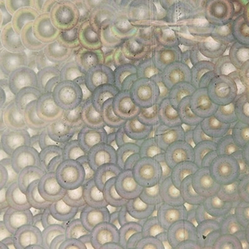 Celofaninis blizgantis sidabrinis dovanų popierius, 70x100 cm