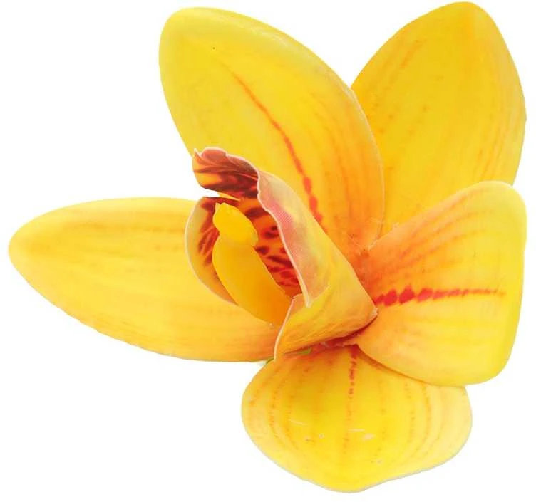 Geltonas lateksinis orchidėjos žiedas