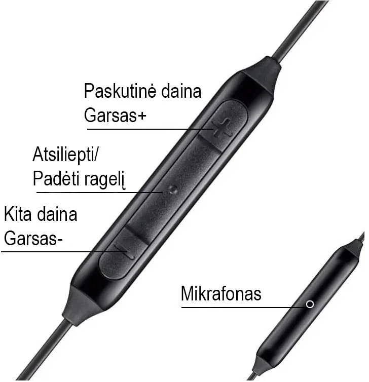 Laidinės Type-C ausinės