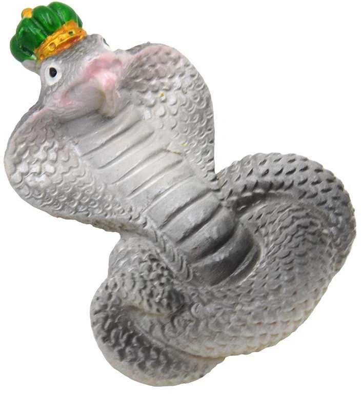 Magnetukas Gyvatė