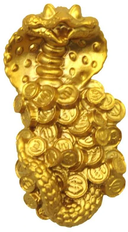 Magnetukas Gyvatė