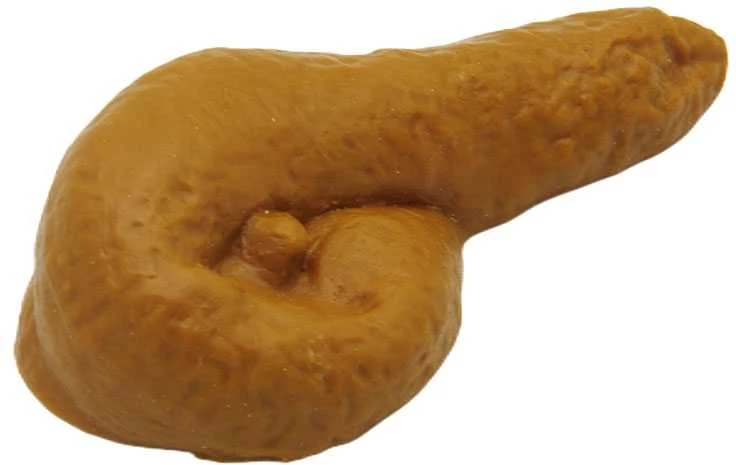 Pokštas netikras "kakutis"