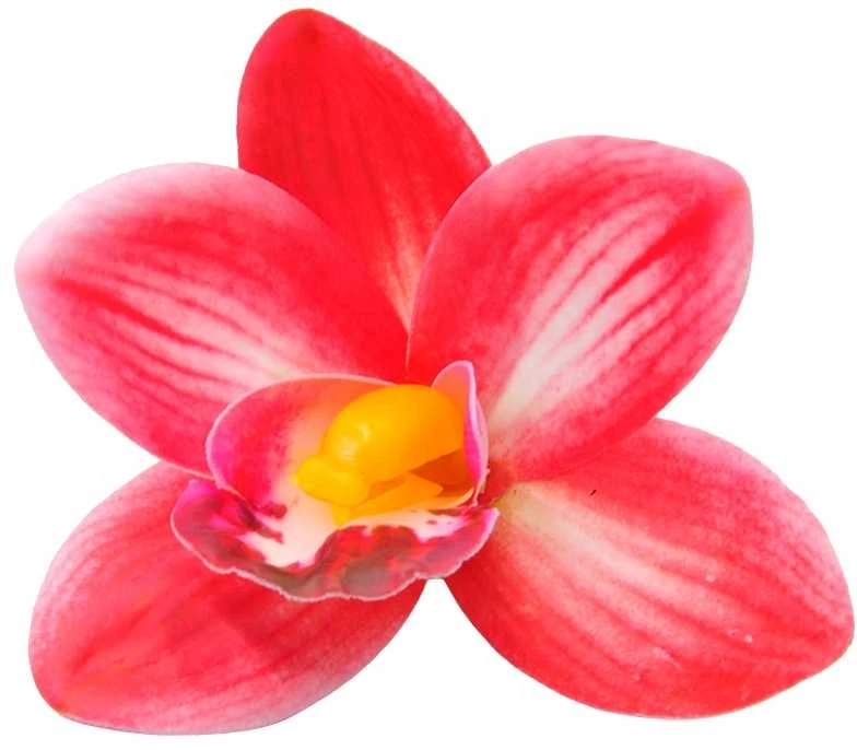 Tamsiai rožinis lateksinis orchidėjos žiedas
