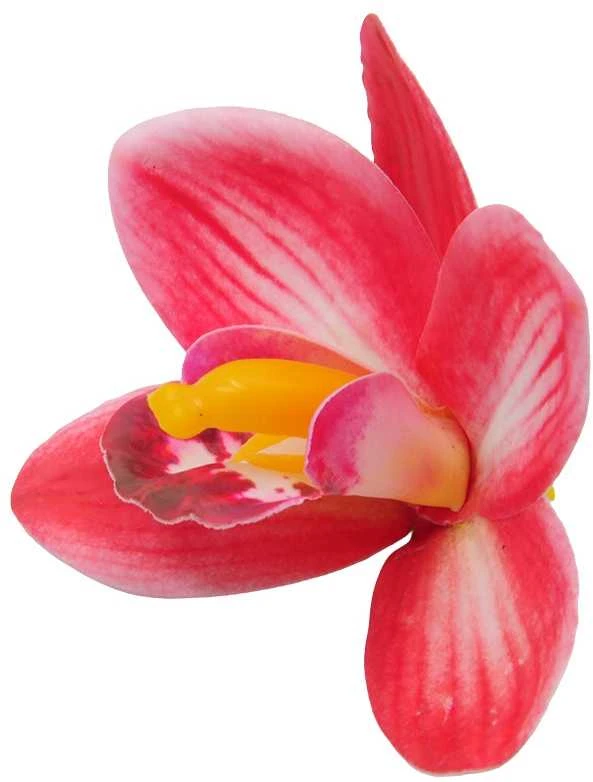 Tamsiai rožinis lateksinis orchidėjos žiedas