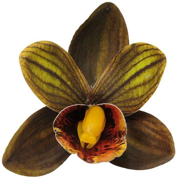 Tamsiai žalias lateksinis orchidėjos žiedas
