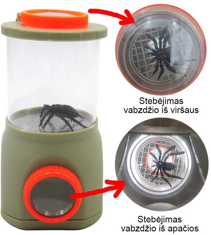 Vabalų tyrinėjimo indas