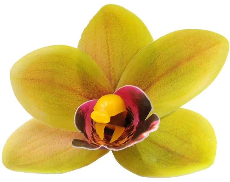 Žalsvas lateksinis orchidėjos žiedas
