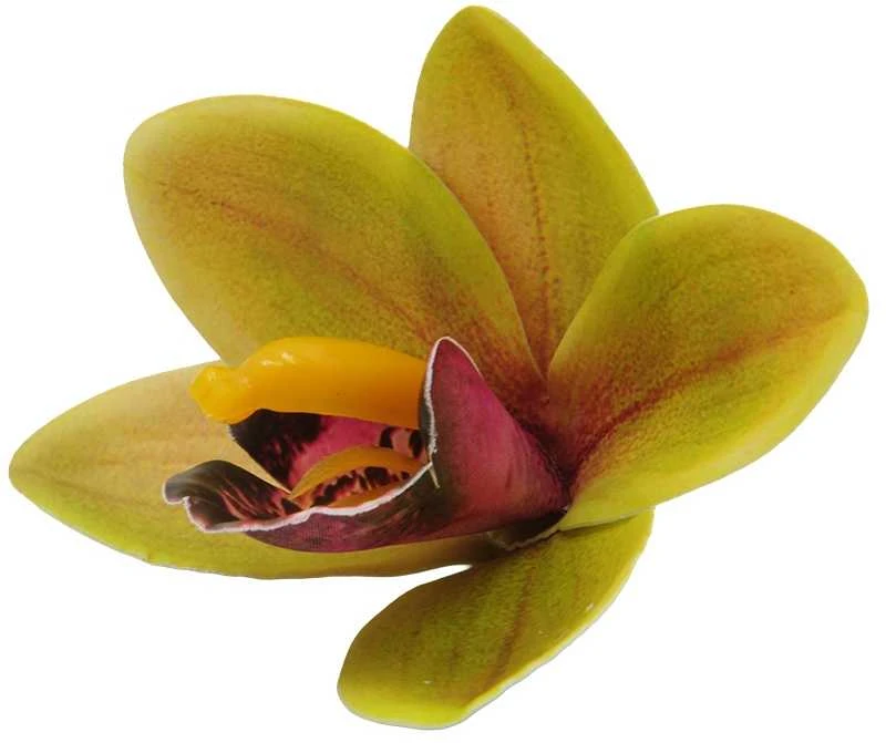Žalsvas lateksinis orchidėjos žiedas