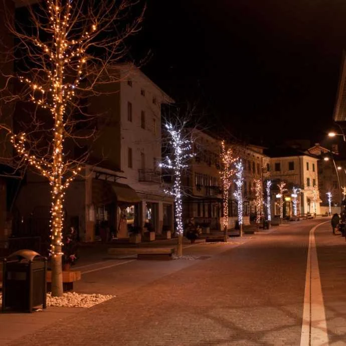 Lauko ir vidaus girlianda (LED lemputės) 50 m PROLED juoda