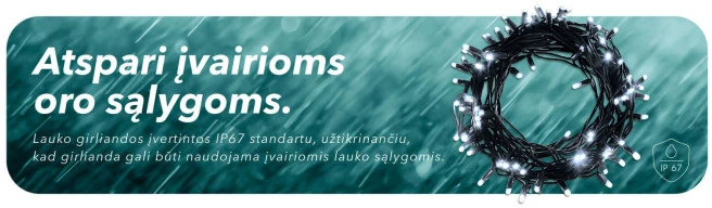 Lauko ir vidaus girlianda (šaltai baltos LED lemputės) 10 m PROLED juoda