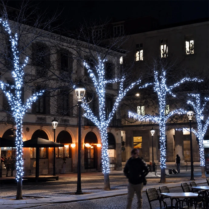 Lauko ir vidaus girlianda (šaltai baltos LED lemputės) 10 m PROLED juoda