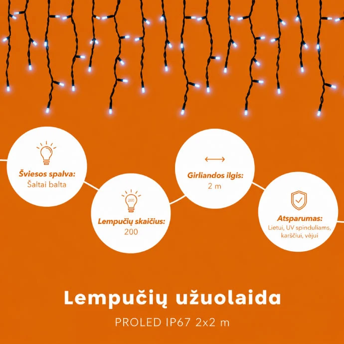 Lempučių užuolaida (šaltai baltos LED lemputės) PROLED IP67 2x2 m
