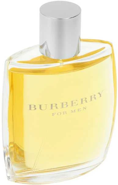 Kvepalai vyrams Burberry For Men EDT, 100 ml