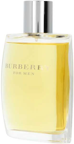 Kvepalai vyrams Burberry For Men EDT, 100 ml