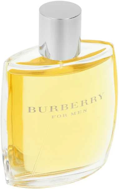 Kvepalai vyrams Burberry For Men EDT, 100 ml