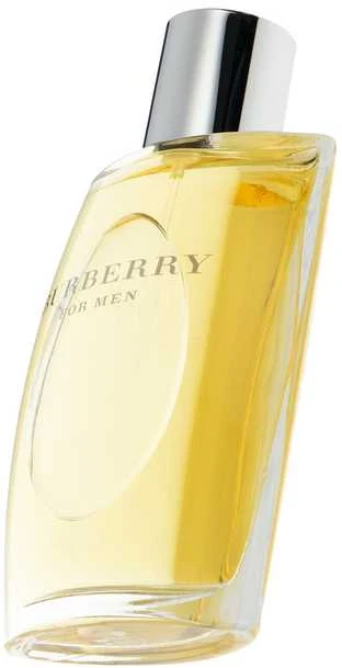 Kvepalai vyrams Burberry For Men EDT, 100 ml