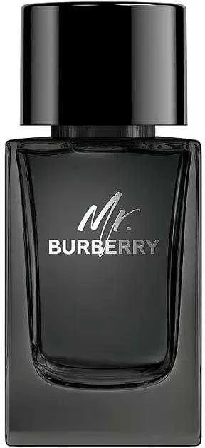 Burberry Mr. Burberry EDP parfumuotas vanduo vyrams, 100 ml