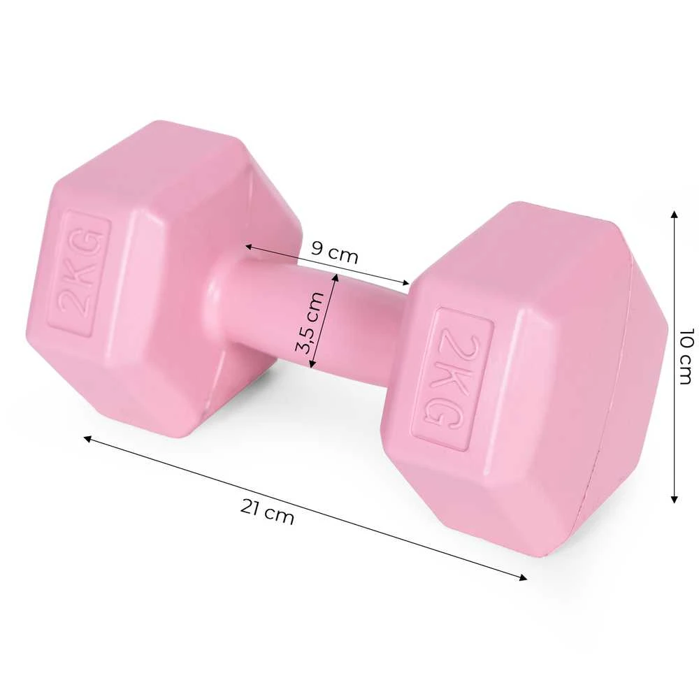 Šešiakampiai hantelia 2x2 kg ModernHome