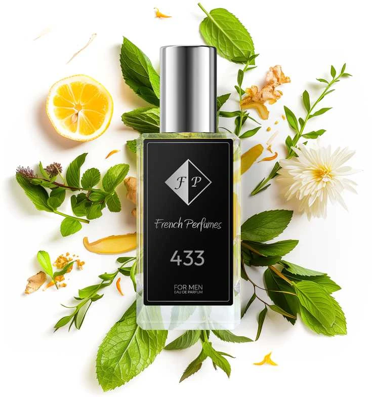 Nr433 kvepalai įkvėpti Chanel - Bleu de Chanel EDT 33 ml
