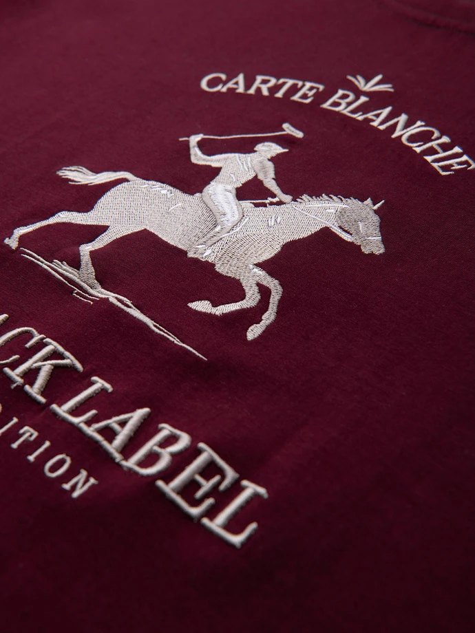 Vyriškas bordo spalvos džemperis Carte