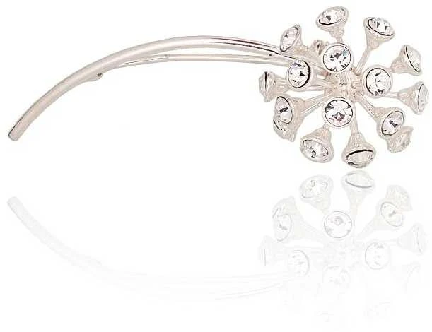 Sidabrinė sagė - 4.7 g. - 53 mm.