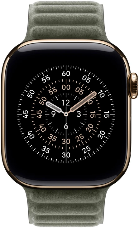 Apple Watch 42mm Sage Gray Magnetic Link - M/L - MGDE4ZM/A