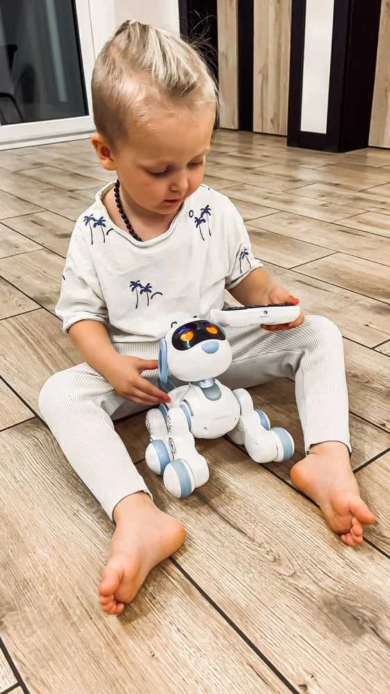 Cooler Stuff Interaktyvus robotas šuniukas su valdymo pultu