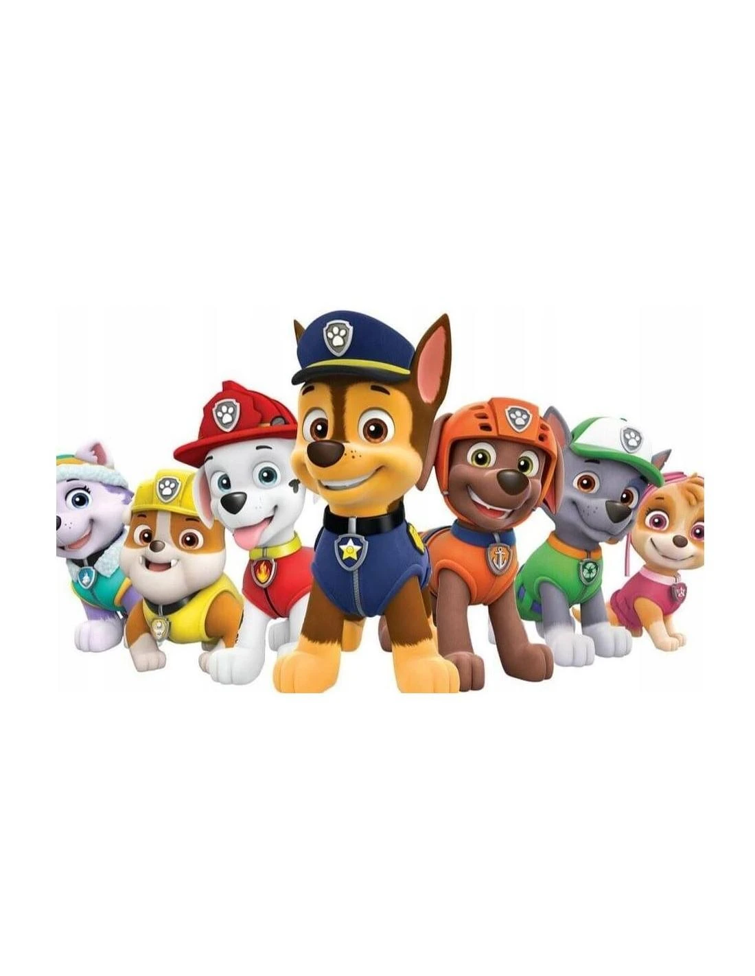 Magy Laikrodis su projektoriumi Paw patrol Skay