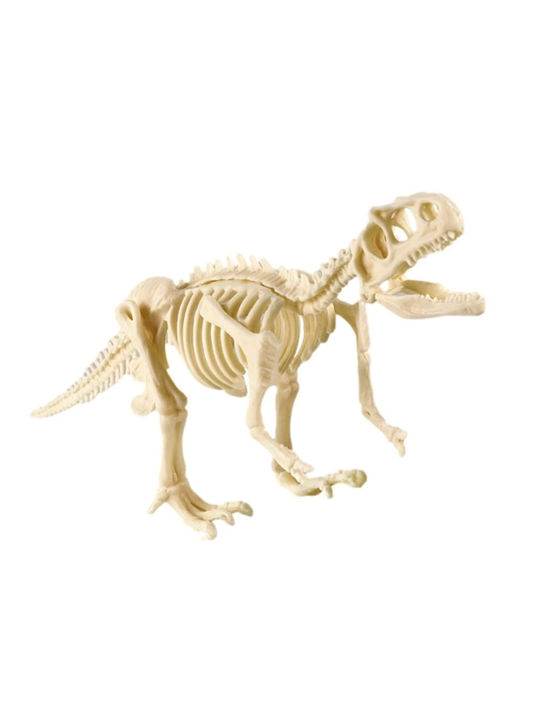 Magy Archeologijos kasinėjimo rinkinys dinozauras