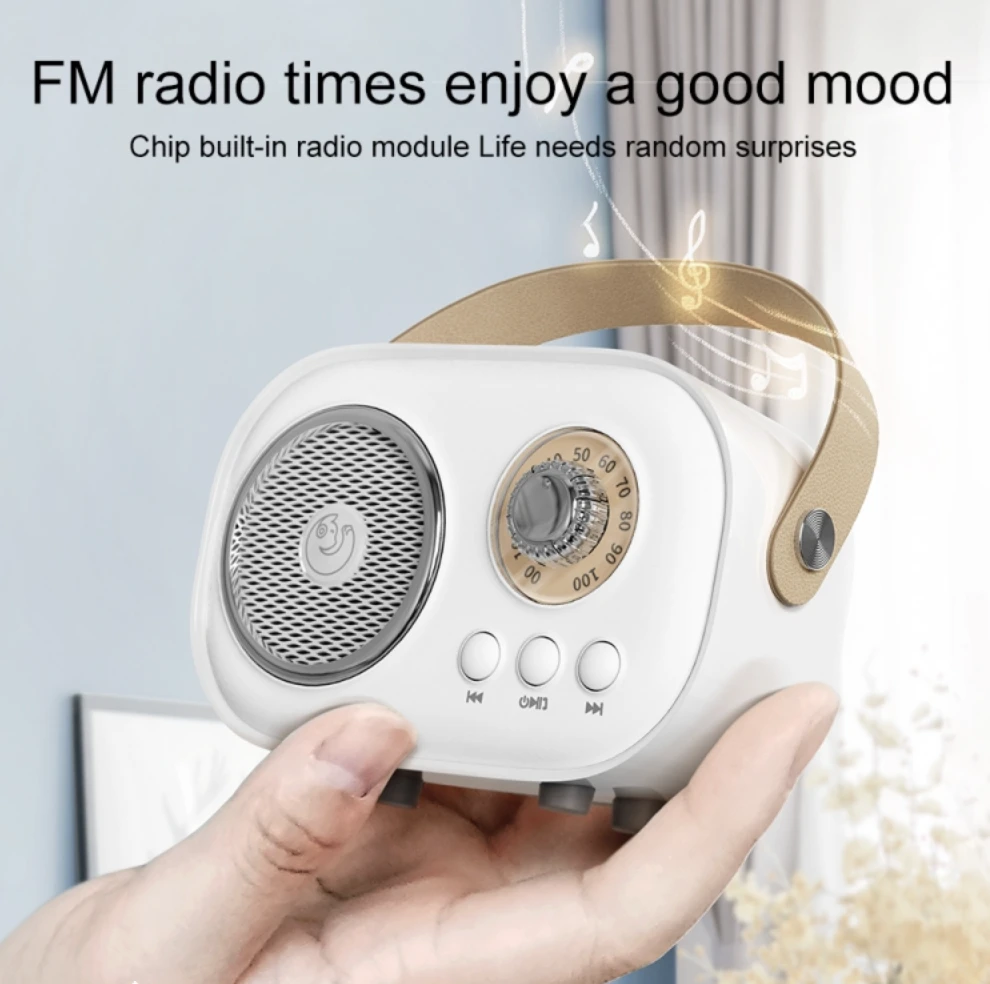 Magy Karaokės rinkinys Premium Radio Edition mikrofonas + bevielė kolonėlė