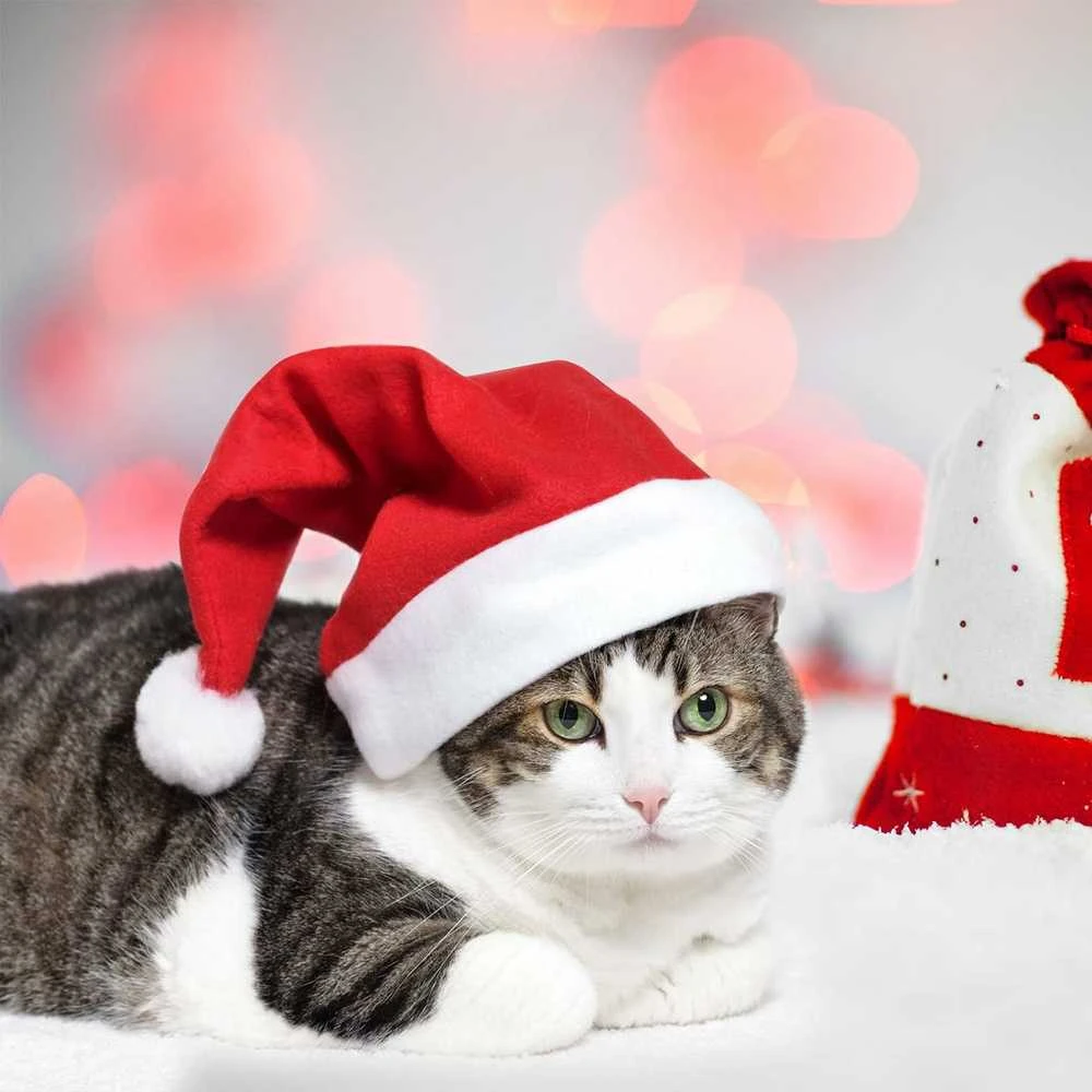 Magy Santa kalėdų senelio kepurė