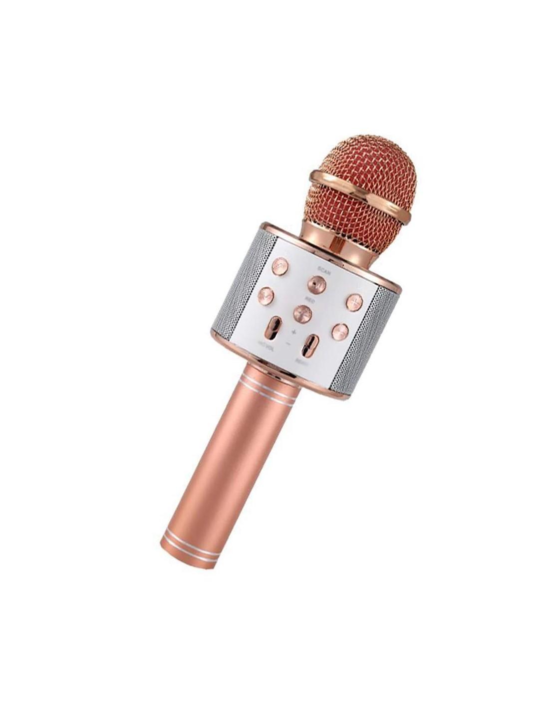 Malplay Mikrofonas karaoke su įrašymo funkcija