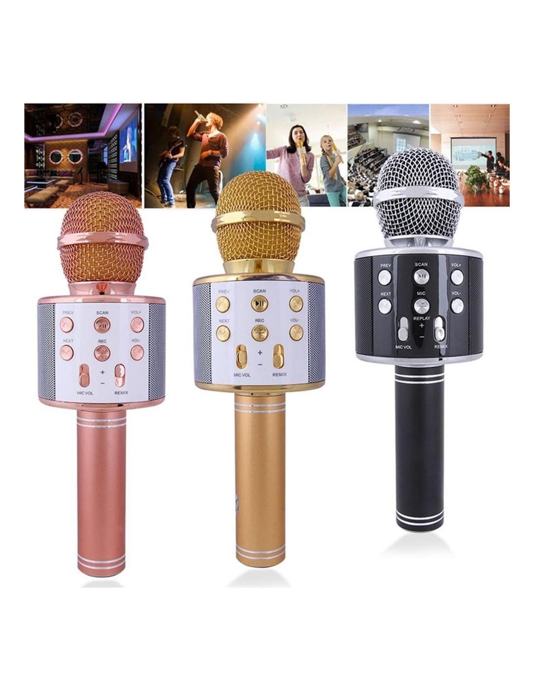 Malplay Mikrofonas karaoke su įrašymo funkcija